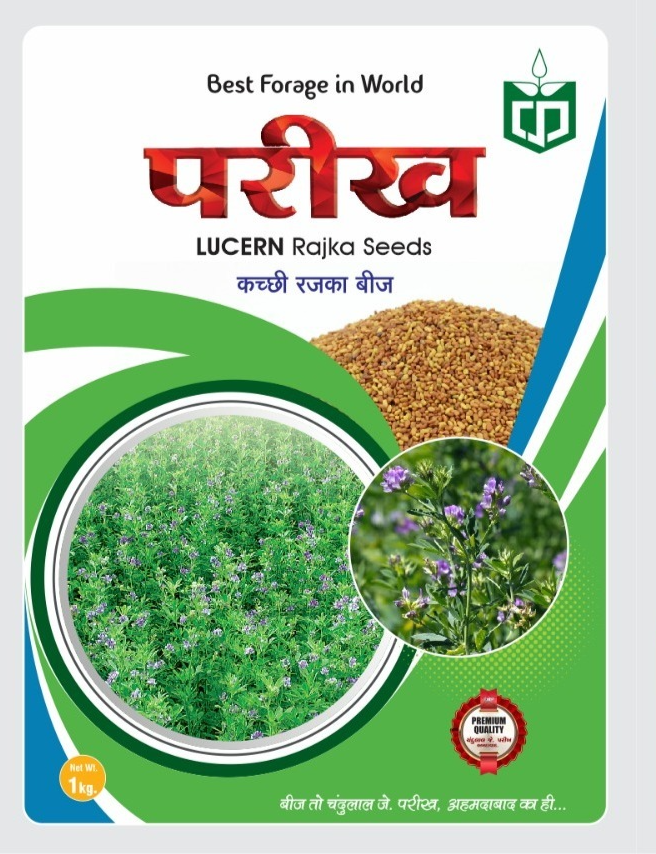 Lucern Kachchhi Rajka