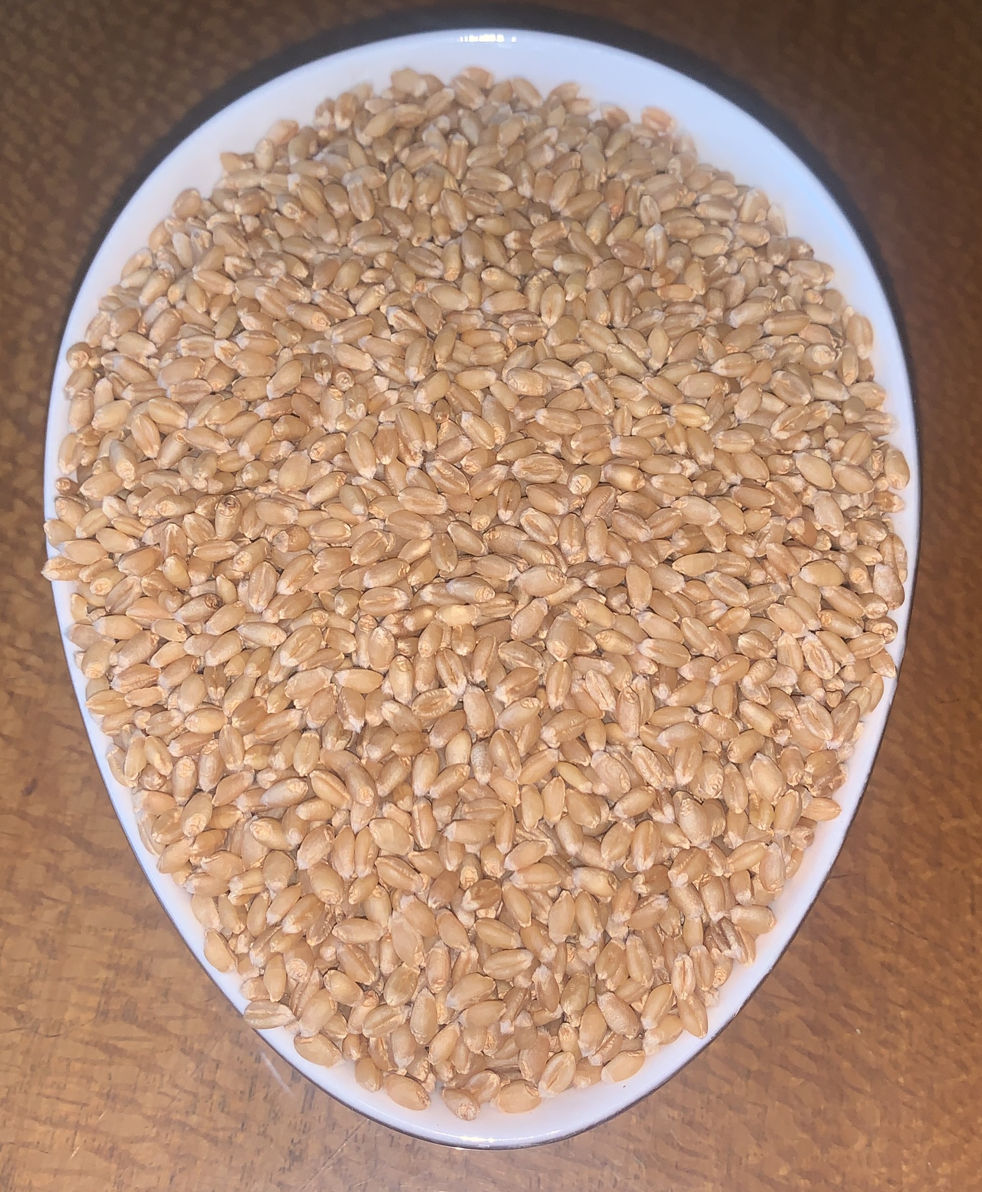 Wheat Seeds